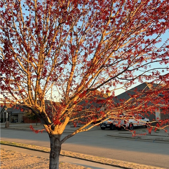 Meet your Posher, L P - Picture 4 of 13